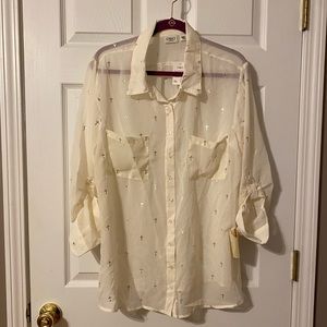NWT Cato Woman Beige Sheer Long Sleeve Button Down Blouse with Collar Sz 18/20